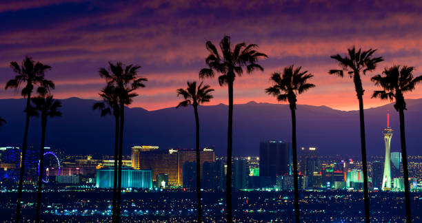 lasvegas7 A stock photo of Las Vegas, Nevada with Palm trees in the foreground. Shot at Sunset.