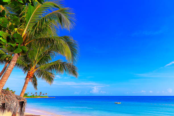 Beach and rustic thatched roof palapa, Montego Bay - Jamaica - Caribbean sea