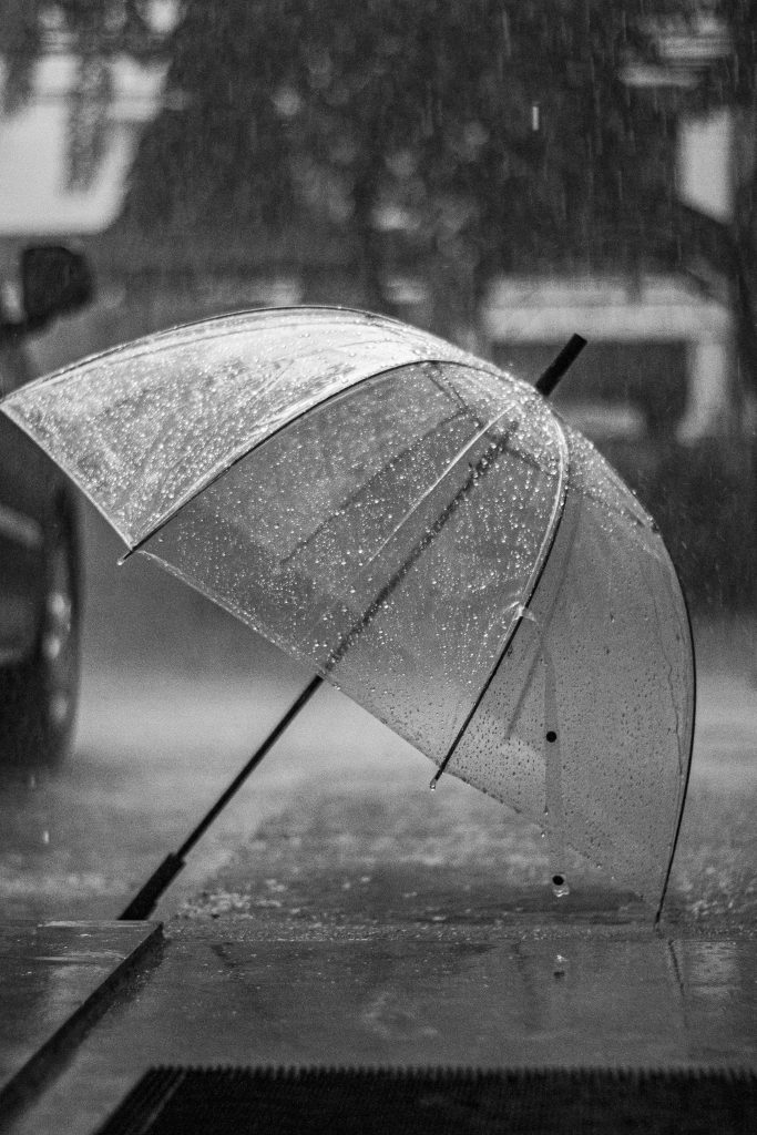 rainUmbrella