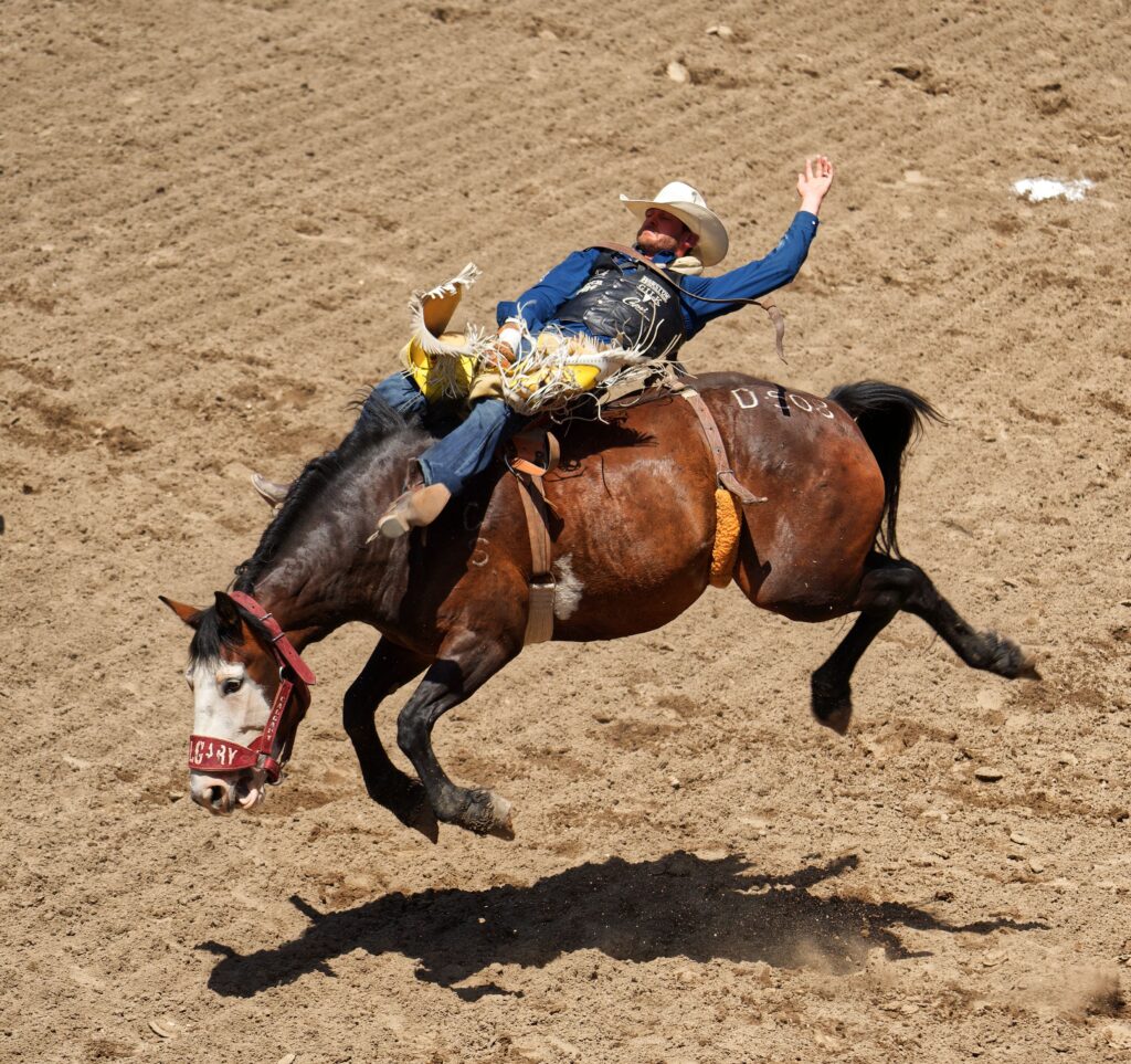 calgaryStampede