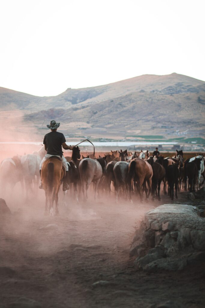 DudeRanch